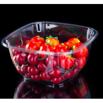 Disposable Plastic grape packing Container