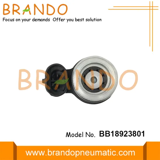 LPG CNG Injector Rail Solenoid Coil DC12V 2Ohm