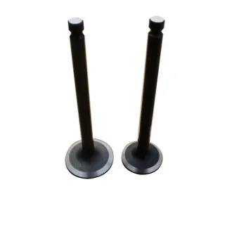 Produce various engine valve for Yanmar