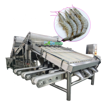 Multi-grade garnalen en visgradenmachine