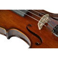 Spruce and Maple Solid Wood Violin