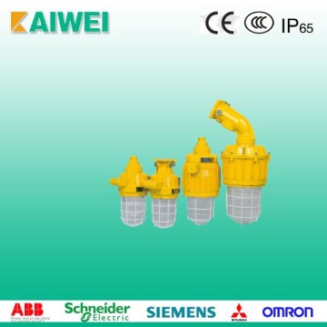 BAD61 Series Explosion-proof Light Fittings Pendant Light Fittings