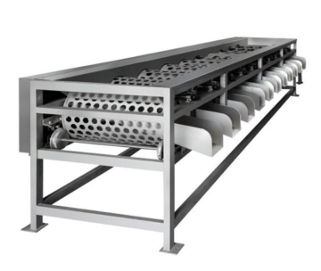 Machine à tri de fruits et légumes de type rouleau automatique