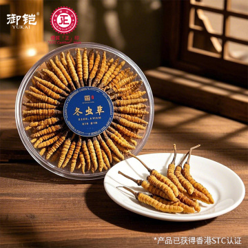 Падарункавая скрынка дзікага Cordyceps Sinensis