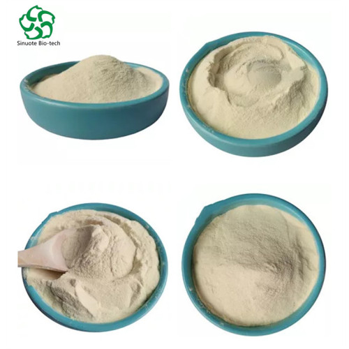 Oligomeric Corn Peptide Powder Corn Oligopeptides Powder for Dietary Supplements Supplier