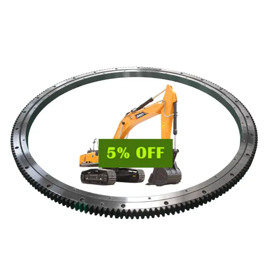 Excavator Slewing Bearing 011.45.1600.03 Rotary Table Slew Bearing