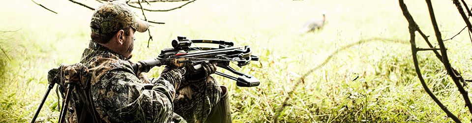 LP_040716a_Barnett_LongCatBanner_01 LP_040716a_Barnett_LongCatBanner_01