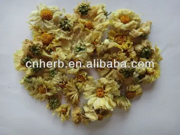 dried chrysanthemum--new crop with very good looking