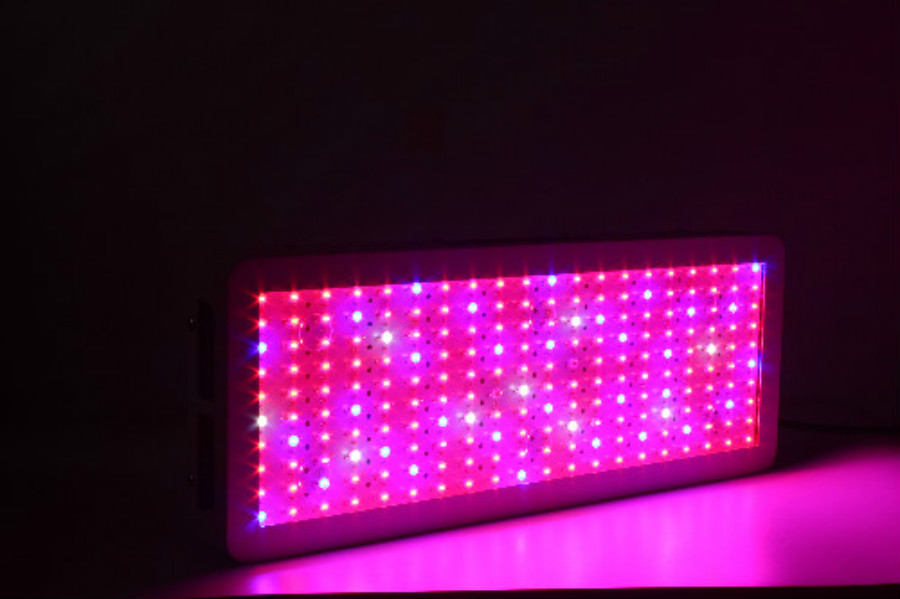 Wifi Control Veg Bloom Switch LED Grow Light