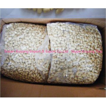 shandong blanched peanut kernels 25/29/shandong peanuts blanched/chinese blanched peanut kernels