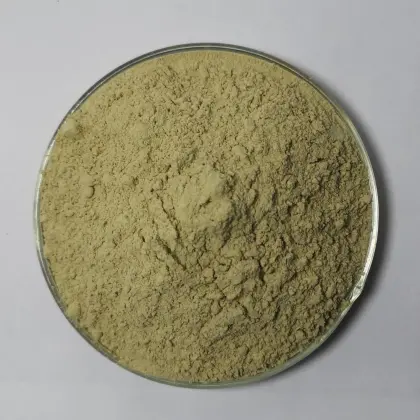 Organic bitter gourd powder