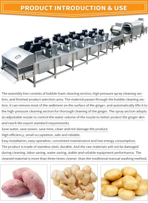 Industrial Fresh Fruits Processing Machinery: Auto Industrial Cherries Sizing, Sorter, Grader