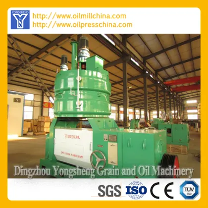 Groundnut Oil Spiral Oil Press Machinery