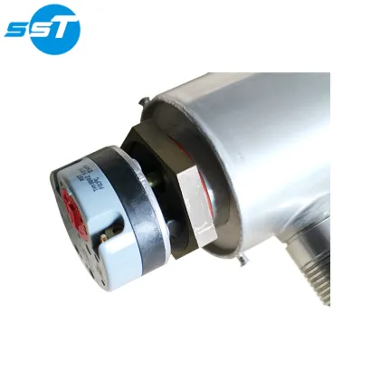 SST CE Certified Solar Water Heater Tube with Central Heat Pump and Electrical Heater