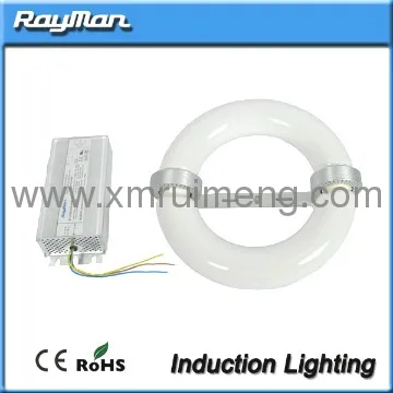 No Flicker & Glare induction street light