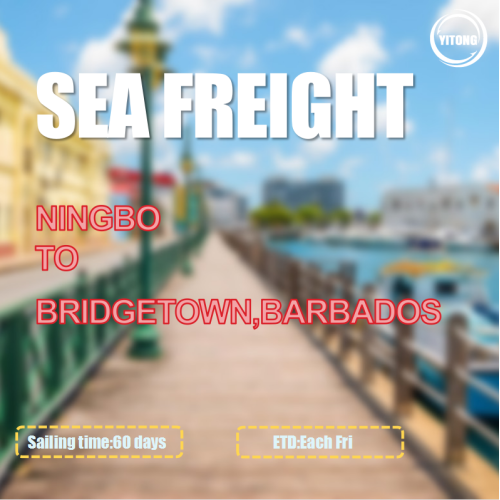 Serviço de frete oceânico de Ningbo a Bridgetown Barbados