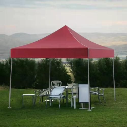 10' x 10' Leisure Sports Pop-Up Canopy Tent