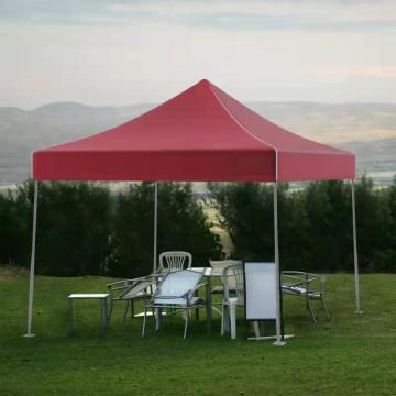 10' x 10' Leisure Sports Pop-Up Canopy Tent