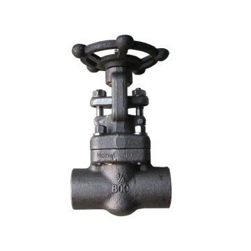 Forged Steel Gate Valve