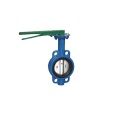 Worm Geaar Warfer Butterfly Valve Butterfly Vallation