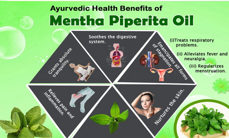 High quality Mentha Piperita essential oil Peppermint oil