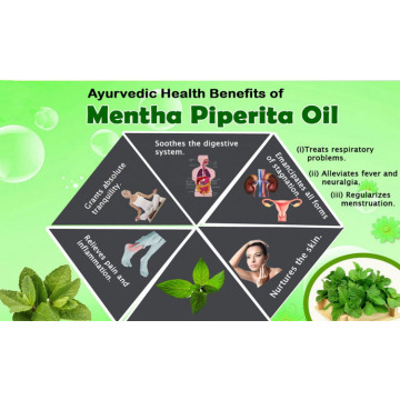 High quality Mentha Piperita essential oil Peppermint oil