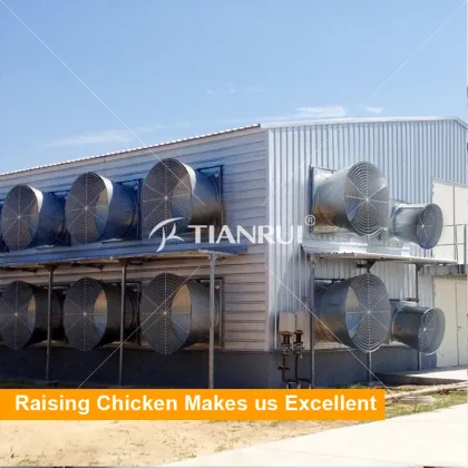 Low cost prefab chicken house steel chicken house