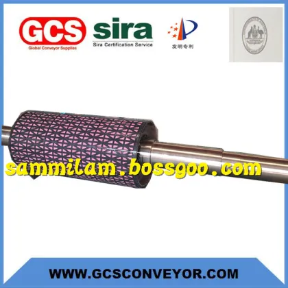 Rollers Bearing andbearing Ceramic prismatic rollers