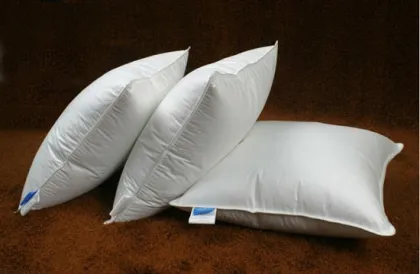 feather cushion core