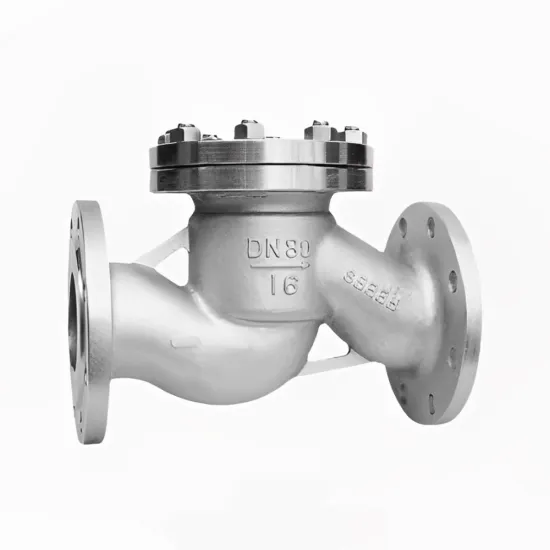 Stainless Steel Lift Check Valve Reflux One-way valve