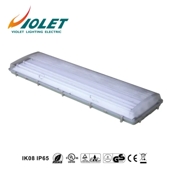 China Product fluorescent security lighting From VIOLET