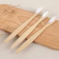 Spazzolino da denti usa e getta in bambù con setole di carbone