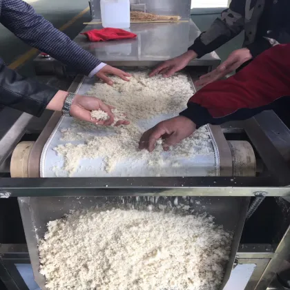 Automatic Microwave Belt Dryer for Morel Mushrooms and Other Vegetables - China Manufacturer