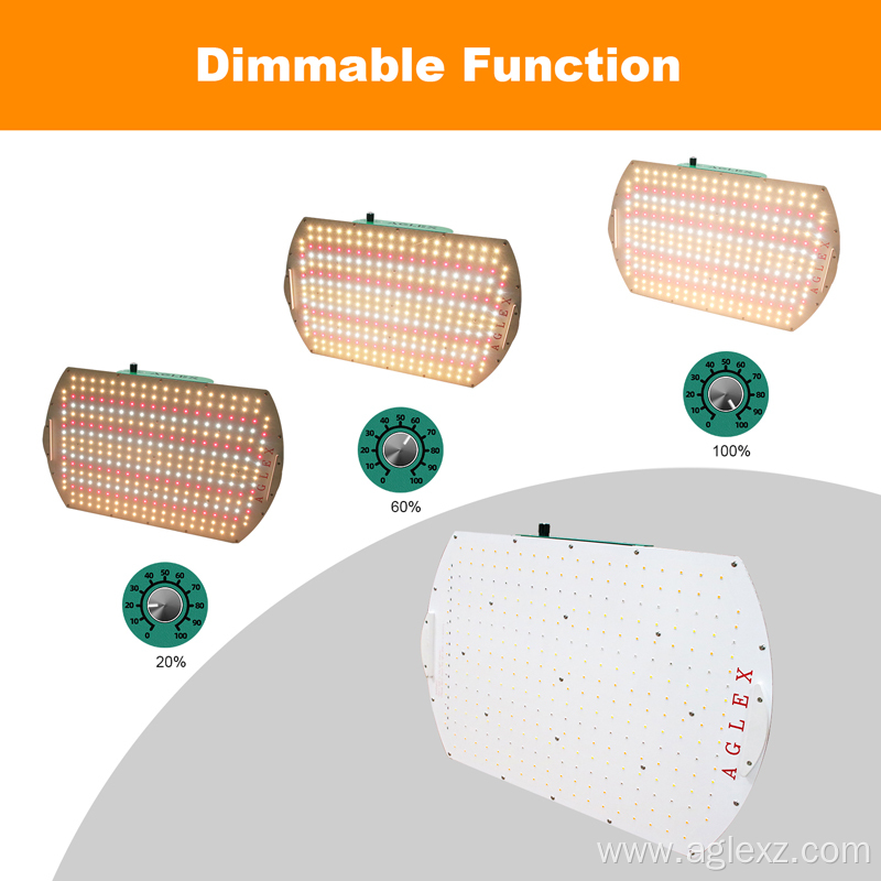 Full Spectrum LED Grow Lights for Vegetables