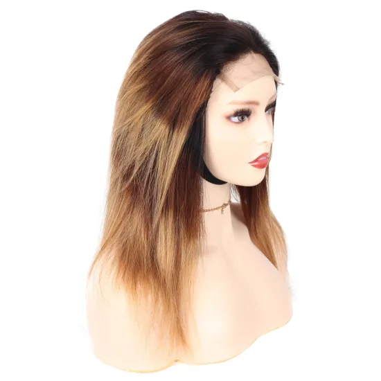 Wholesale Glueless Wigs Cheap Brazilian Hair T1B/4/27 Ombre Color 4x4 Lace Closure Raw straight Human Hair Lace Front Wigs