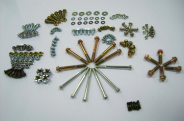 Screw Complete