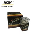 Auto Iridium Spark Plug EIX-BKR6-11 for BMW 5Series