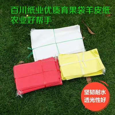 Packaging Bags fruit wrapping paper