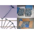 Twist Shank Roofing Nails Hot-dipped Galvanized Roofing Nails Supplier