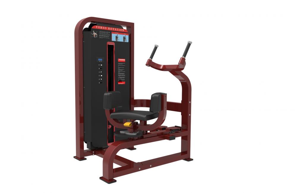 Rotary Torso Exercise Machine, High Quality Rotary Torso Exercise ...