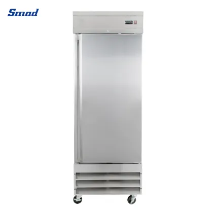Commercial Reach-in Refrigerator Auto Defrost Fridge for Restaurant Kitchens