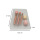 Cosmetic clear plastic blister packaging tray