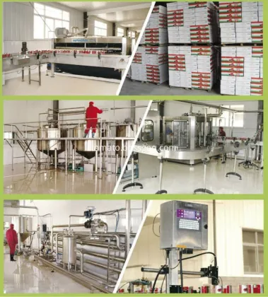 No additives sachet natural wholesale tomato paste