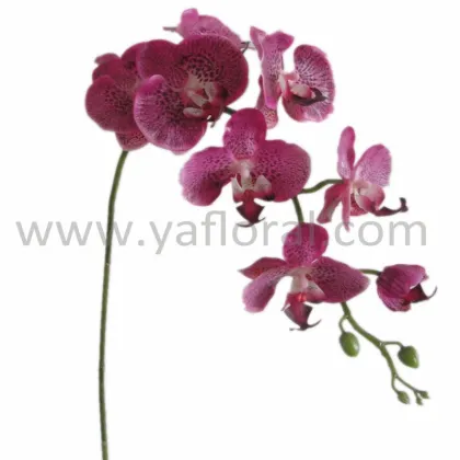 Factory directly orchid flowers price multi-color silk coated artificial orchid flowers fake orchid