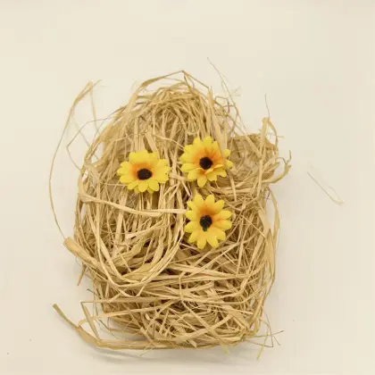 Easter Bird 's-nest grass