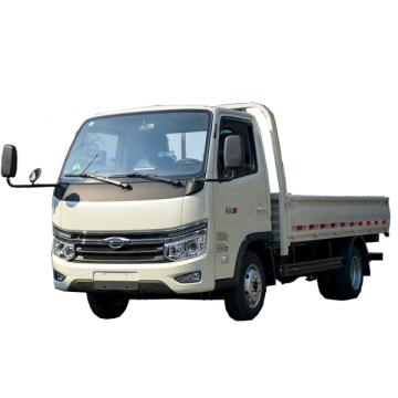 Affordable 3T Gasoline Engine Cargo Truck with 3000mm Wheel Base - Forland L5e S1