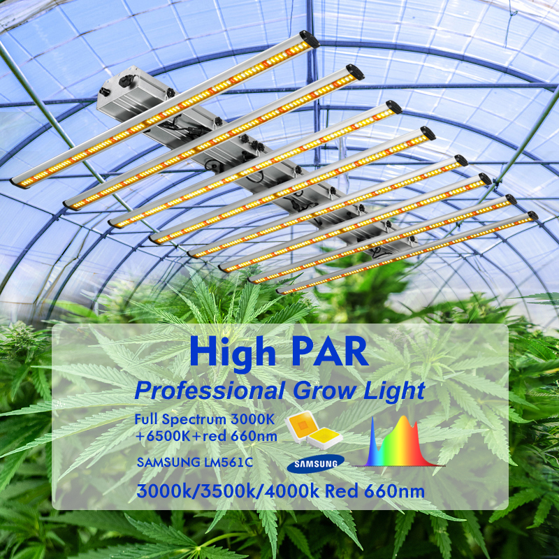 High Par Grow Lights