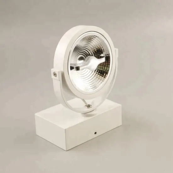 AR111 LED Wall & Ceiling Light: Dimmable Spot Lighting Solution