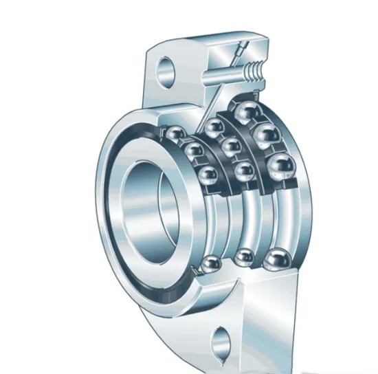 China Supplier High Precision DKLFA2590-2RS Axial Angular Contact Ball Bearing