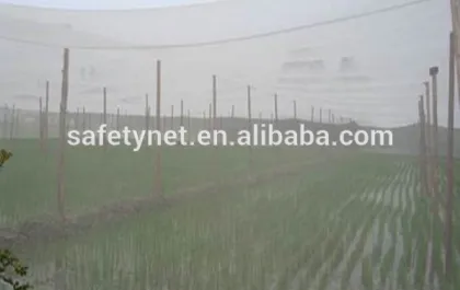 very cheap greenhouse insect net from Anhui factory